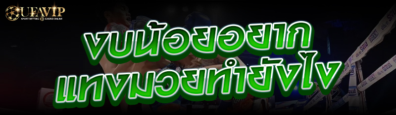 งบน้อยอยากแทงมวยทำยังไง