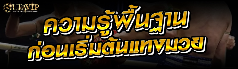 ความรู้พื้นฐานก่อนเริ่มต้นแทงมวย 