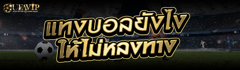 แทงบอลยังไงให้ไม่หลงทาง